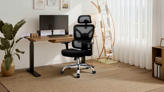 Amazon.com: TECHREST Office Desk Chair, Ergonomic Office Chairs